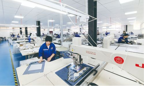 南樂縣集團化戰略引領新材料服裝創新與就業增長